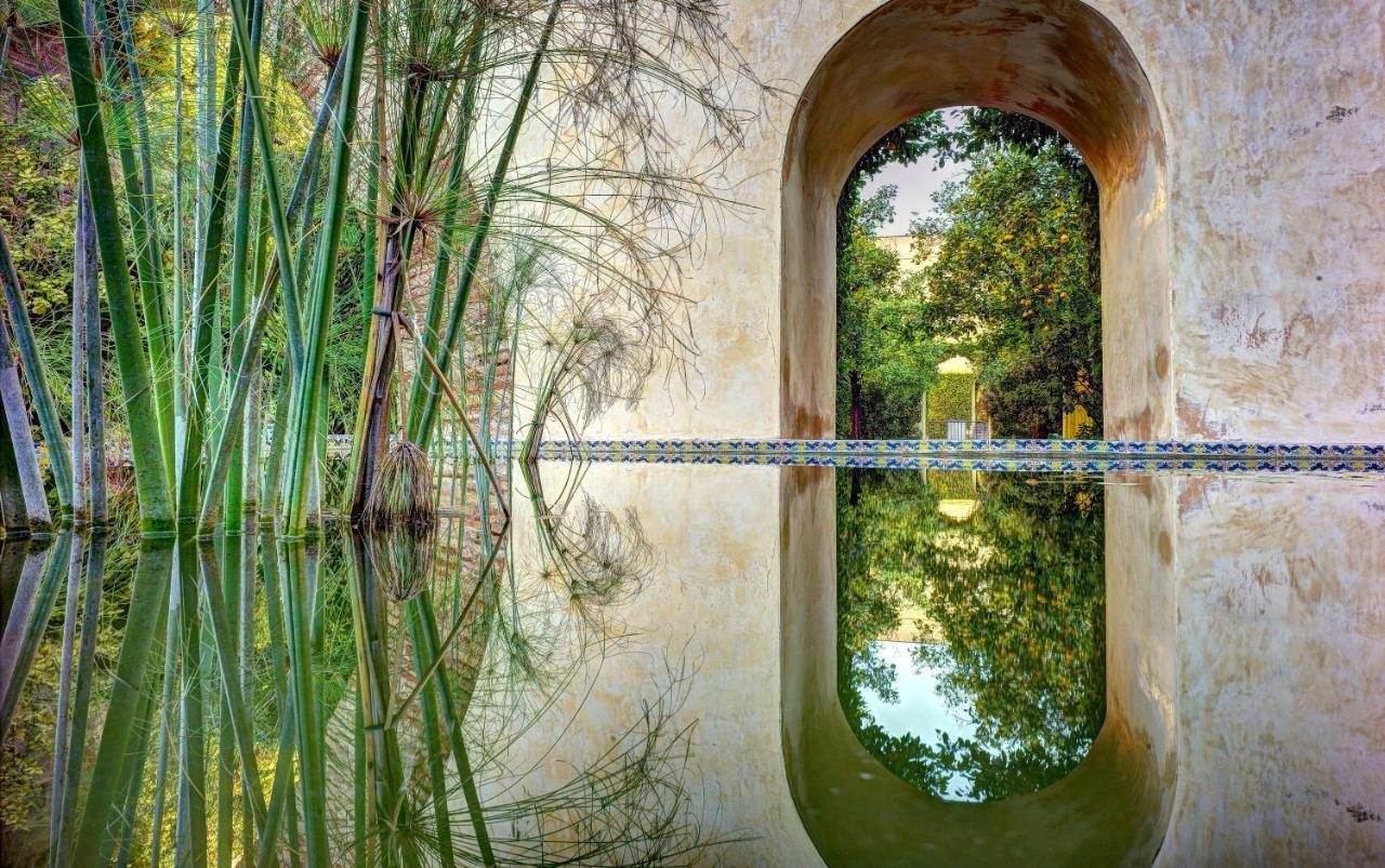 セビリア Casa Patio Del Siglo XIXアパートホテル エクステリア 写真